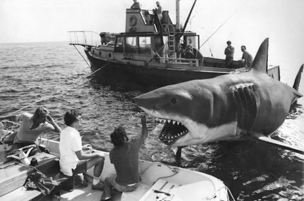 jaws 607 1