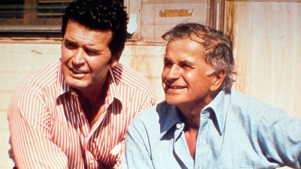 The Rockford Files 607