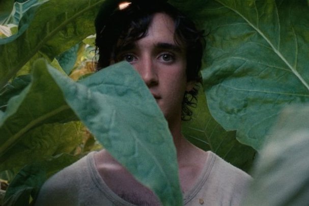 Lazzaro Felice 607
